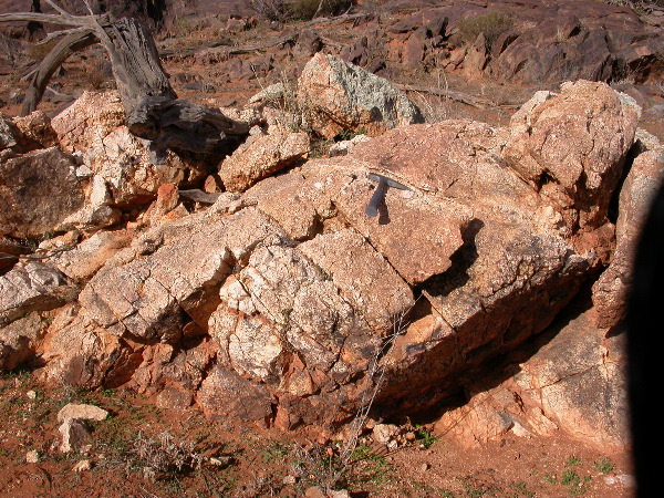 DSCN1009.JPG