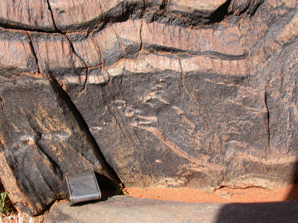 DSCN1012.JPG