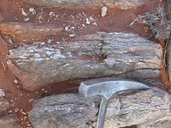 DSCN1020.JPG