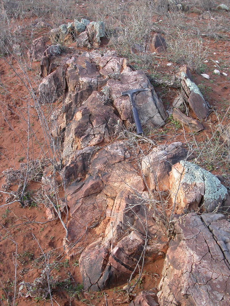 DSCN1021.JPG