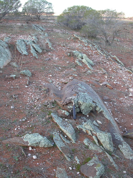 DSCN1022.JPG
