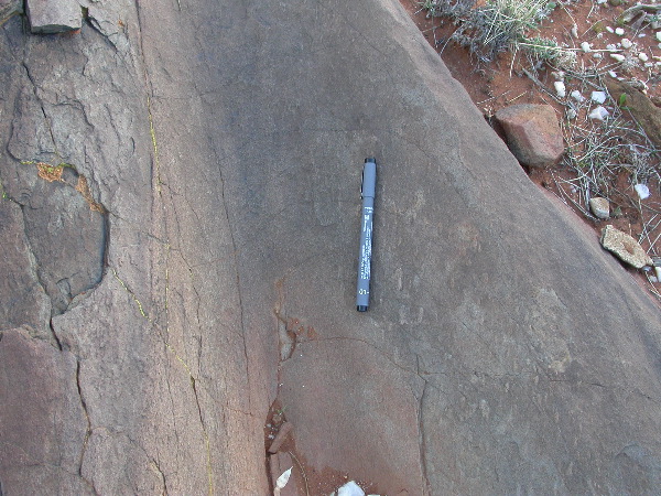 DSCN1026.JPG