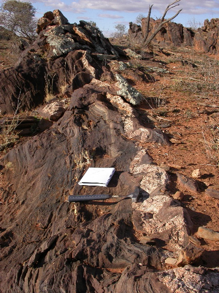 DSCN1032.JPG