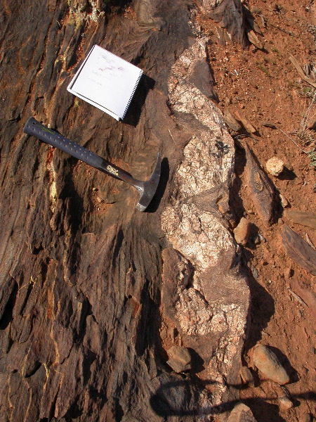 DSCN1033.JPG