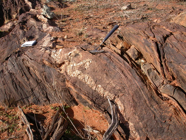 DSCN1034.JPG