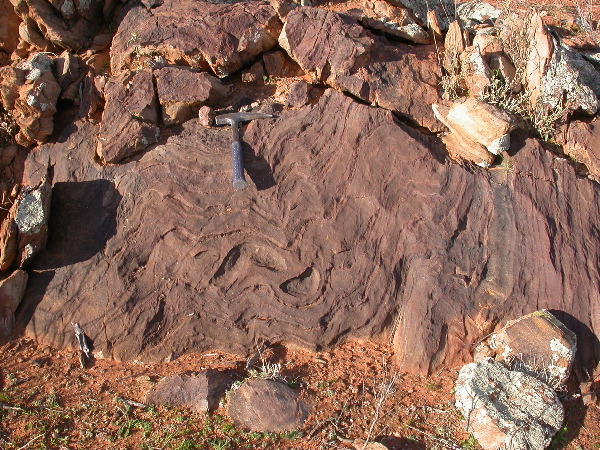 DSCN1035.JPG