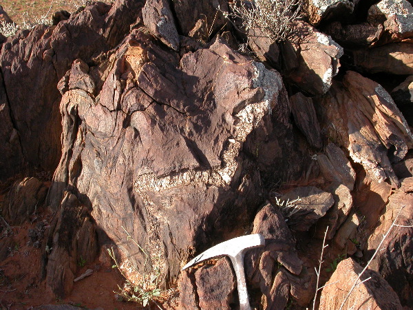 DSCN1037.JPG