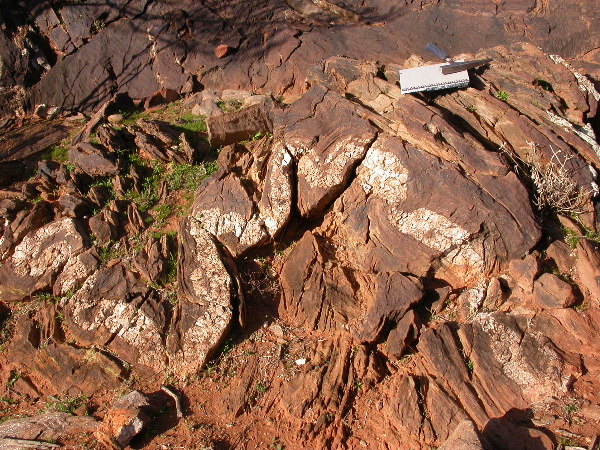 DSCN1041.JPG