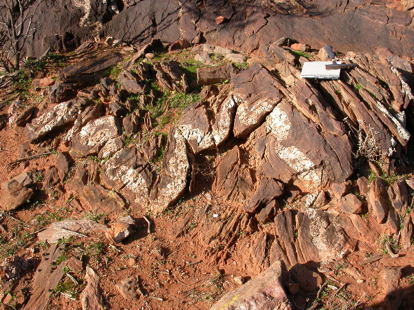 DSCN1042.JPG