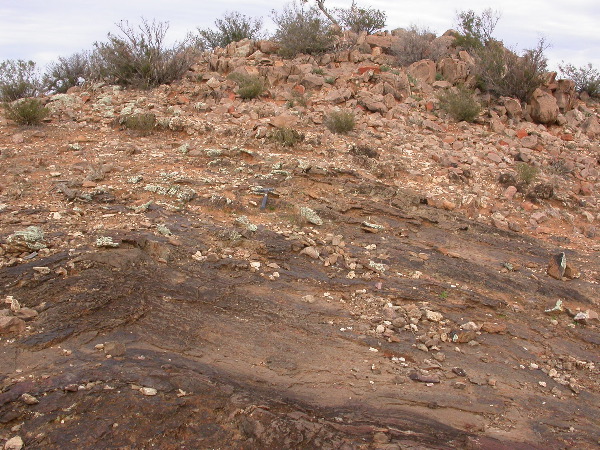 DSCN1044.JPG