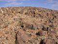 DSCN1056.JPG