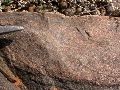 DSCN1058.JPG