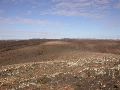 DSCN1065.JPG