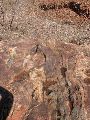 DSCN1077.JPG