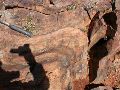 DSCN1082.JPG