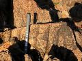 DSCN1106.JPG