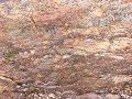 DSCN0167.JPG