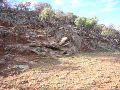 DSCN0172.JPG