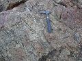 DSCN1118.JPG