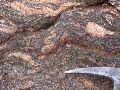 DSCN1135.JPG