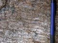 DSCN1139.JPG