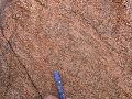 DSCN1144.JPG
