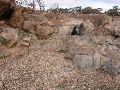 DSCN1154.JPG