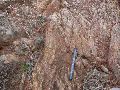 DSCN1166.JPG