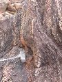 DSCN1174.JPG