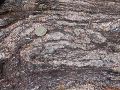 DSCN1184.JPG