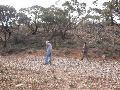 DSCN1190.JPG