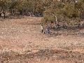 DSCN1196.JPG