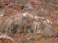 DSCN1197.JPG