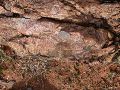 DSCN1198.JPG
