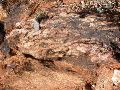 DSCN1199.JPG