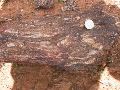 DSCN1201.JPG