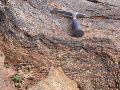 DSCN1208.JPG