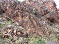 DSCN1219.JPG