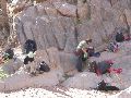 DSCN1226.JPG