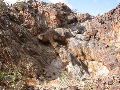 DSCN1229.JPG