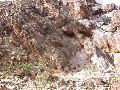 DSCN1233.JPG