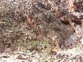 DSCN1234.JPG