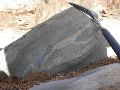 DSCN1251.JPG