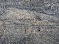 DSCN1261.JPG
