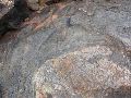DSCN1265.JPG