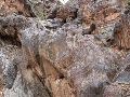 DSCN1272.JPG