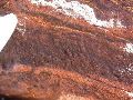 DSCN0985.JPG