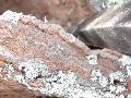 DSCN1287.JPG