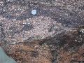 DSCN1298.JPG