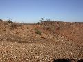 DSCN1305.JPG